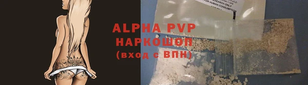 гашик Арсеньев