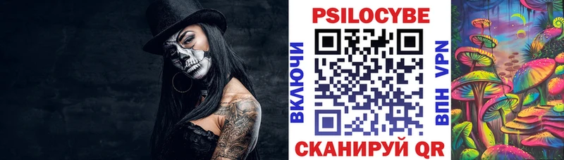 Псилоцибиновые грибы Psilocybine cubensis  Сокол 